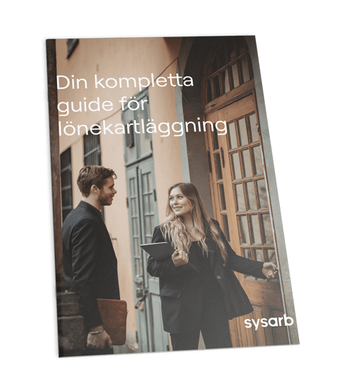 Din kompletta guide för lönekartläggning-min